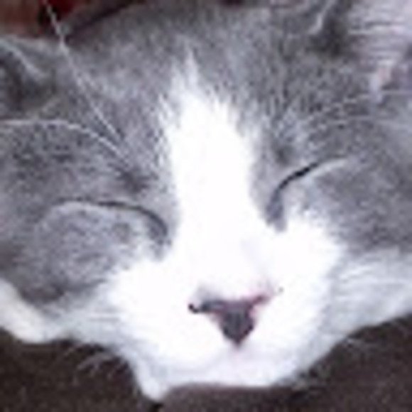 Meet your Posher, M - Picture 1 of 1